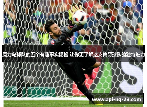 魔力鸟球队的五个有趣事实揭秘 让你更了解这支传奇球队的独特魅力 魔力鸟球队的五个有趣事实揭秘 让你更了解这支传奇球队的独特魅力