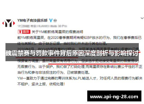 魏震禁赛与罚款事件背后原因深度剖析与影响探讨