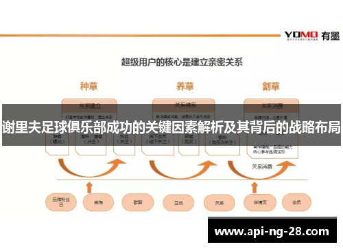 谢里夫足球俱乐部成功的关键因素解析及其背后的战略布局
